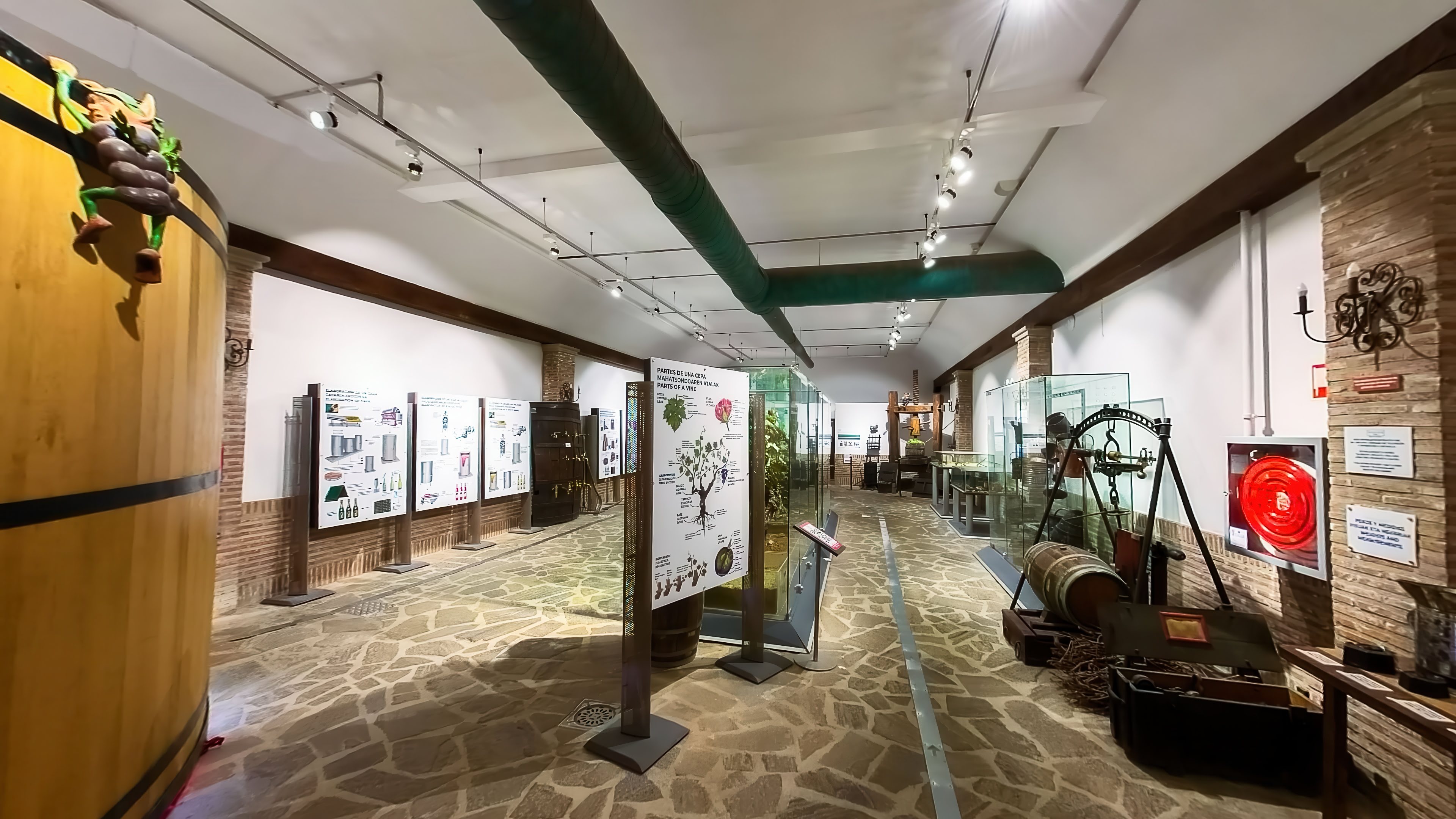 Museo del Vino Villa Lucía